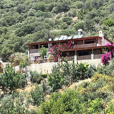 Istlada Tas Ev Apart - Kekova View Kapaklı エクステリア 写真
